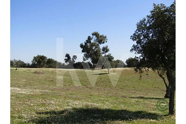 Fazenda agrícola de 1,09 ha para venda em Portalegre