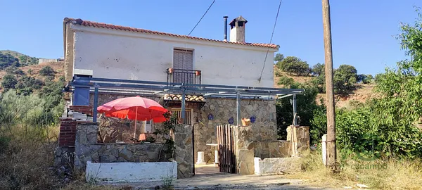 Spot image