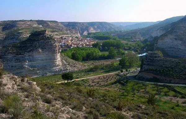 Spot image