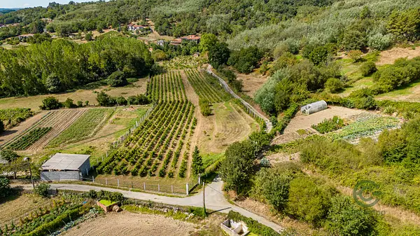Finca rústica de 1,61 ha en venta en Monforte, Lugo