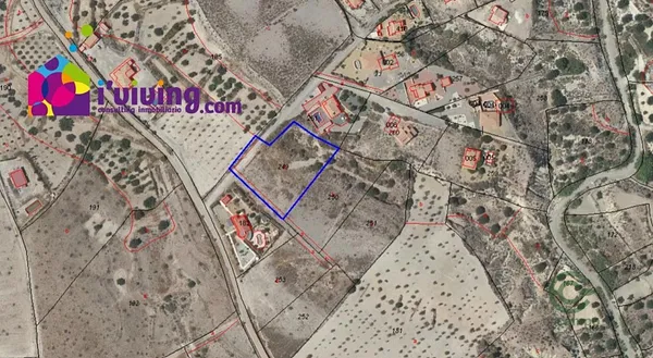 Spot image
