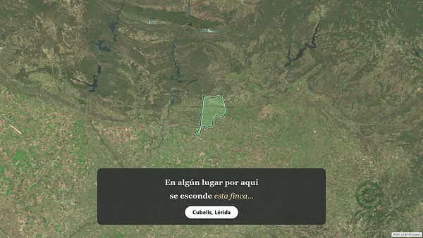Spot image