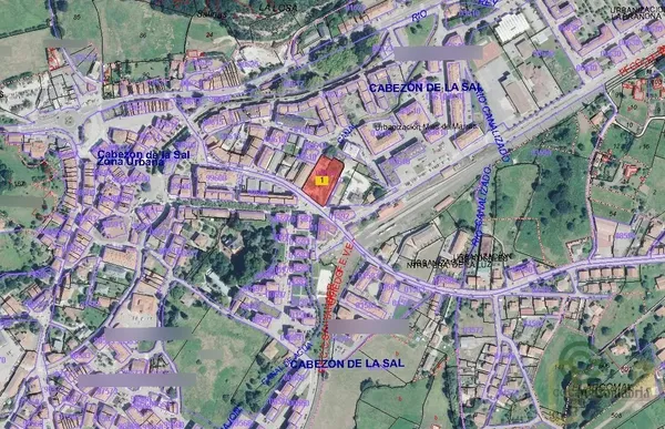 Spot image