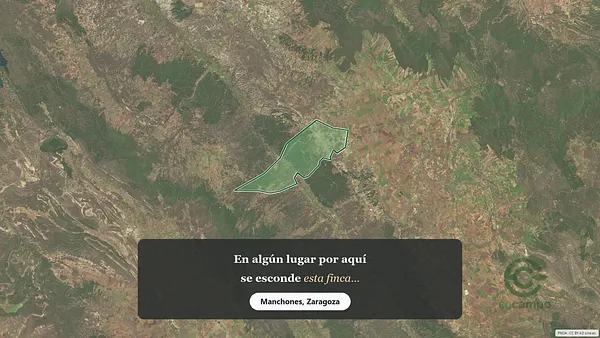 Spot image