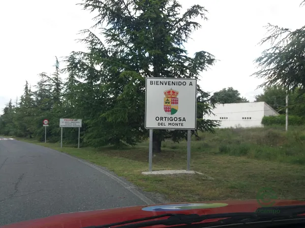 Spot image