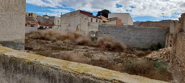 Spot image