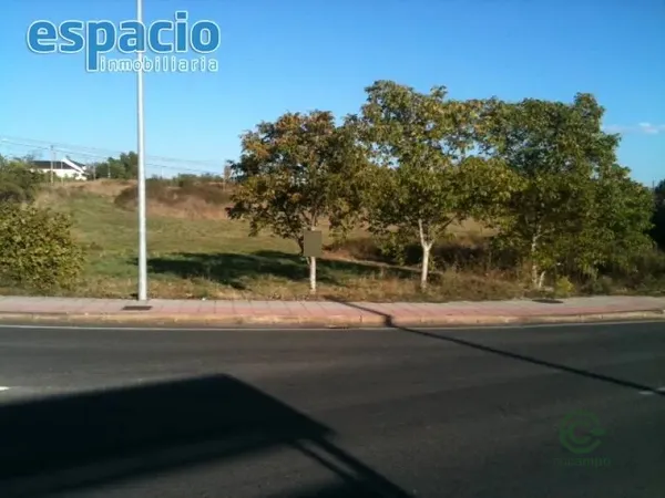 Spot image