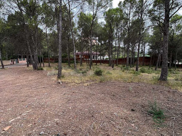 Finca rústica de 0,9441 ha en venta en Gilet, Valencia