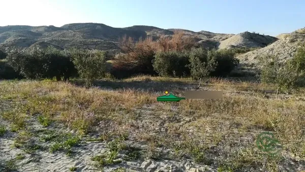 Spot image