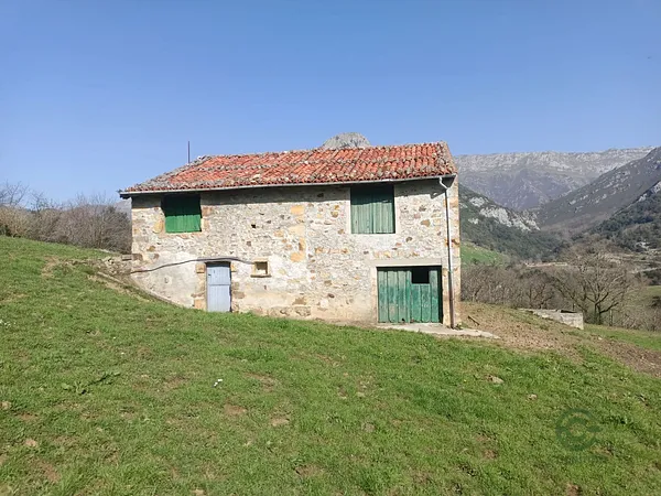 Spot image