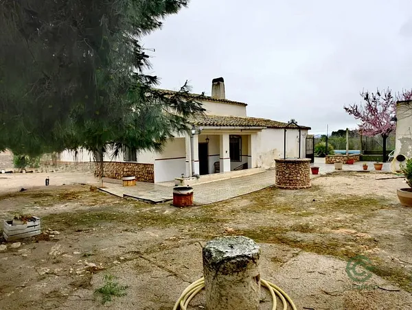 Spot image