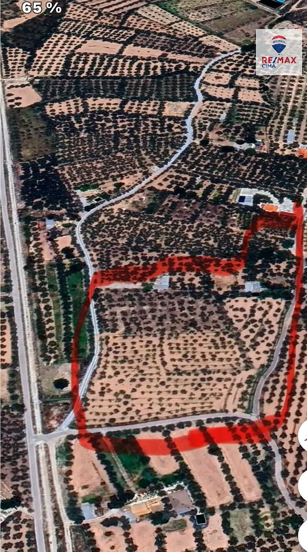 Spot image