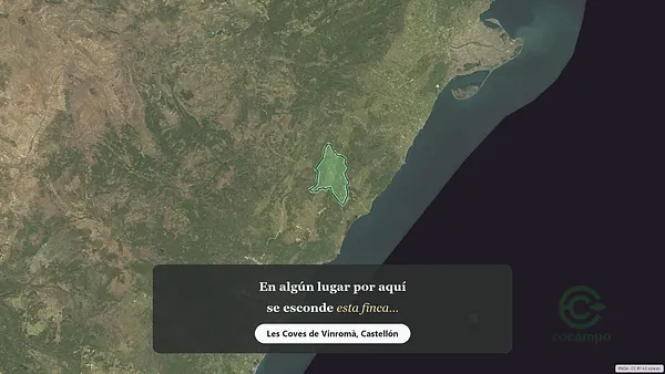 Spot image