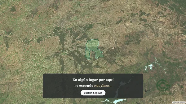 Spot image
