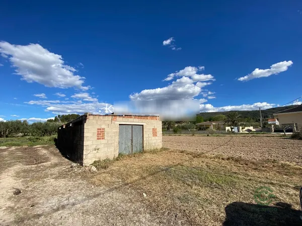 Spot image