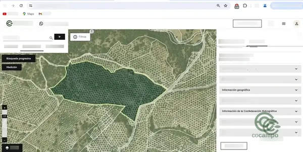 Spot image