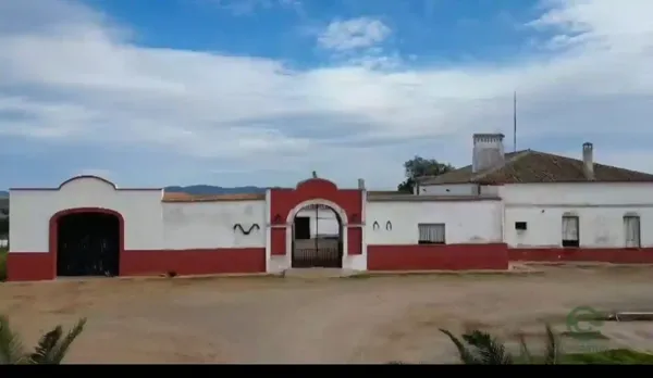 Spot image