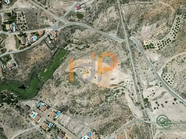 Spot image