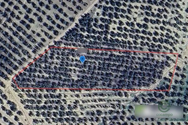 Spot image