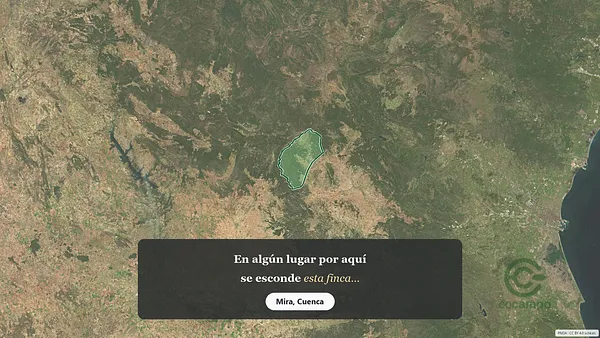 Spot image