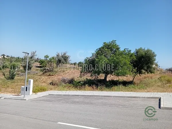 Spot image