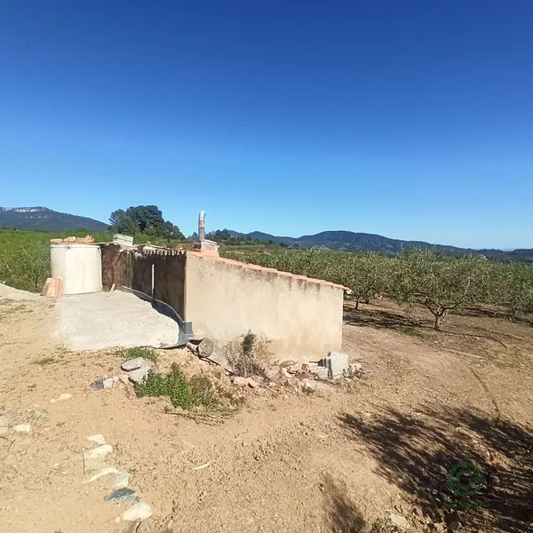 Spot image