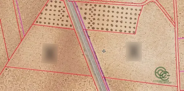 Spot image