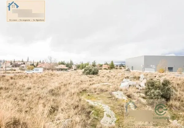 Spot image