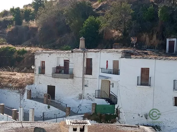Spot image