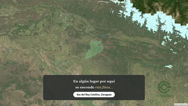 Spot image