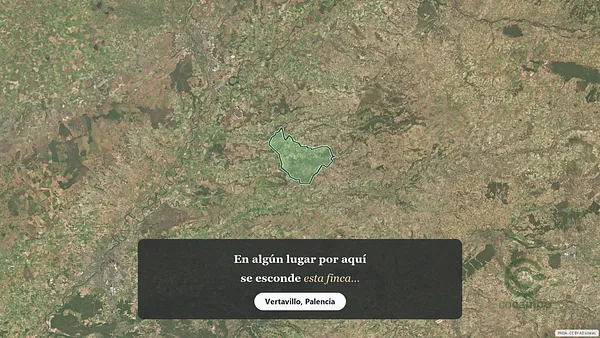 Spot image