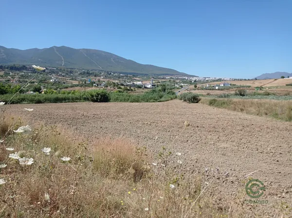Spot image