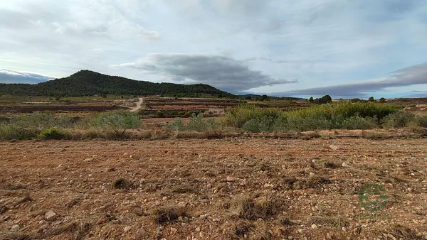 Spot image