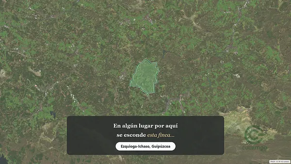 Spot image