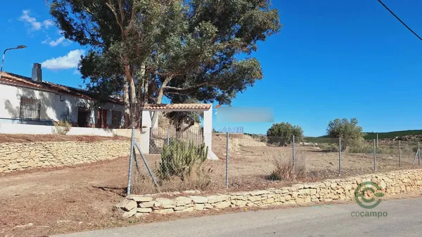 Spot image