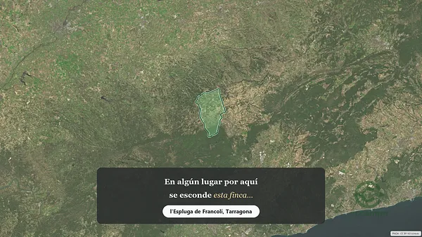 Spot image