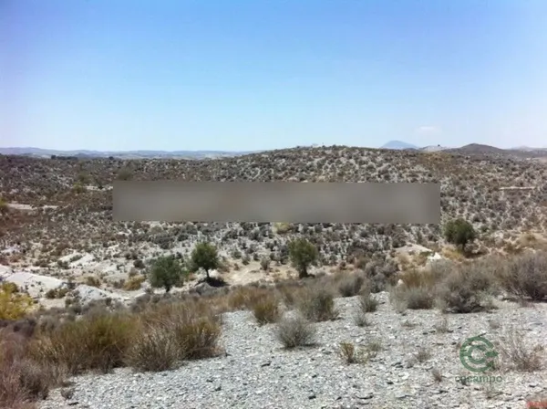Spot image