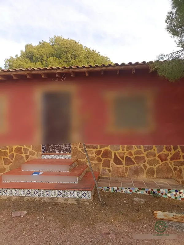 Spot image