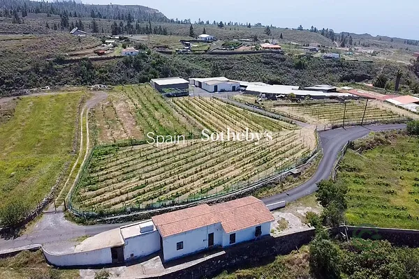 Finca rústica de 1,2751 ha en venta en Adeje, Tenerife