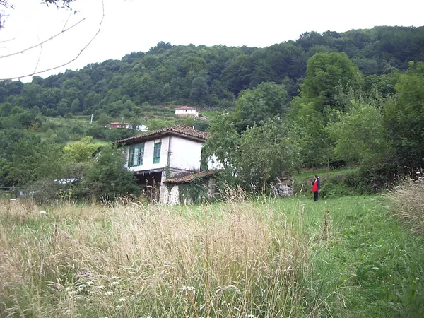 Spot image