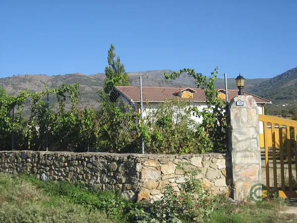 Spot image