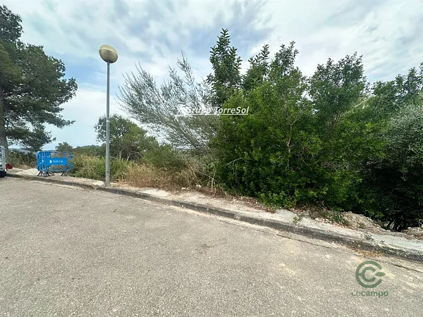 Spot image