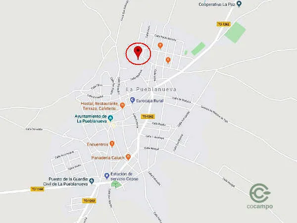 Spot image