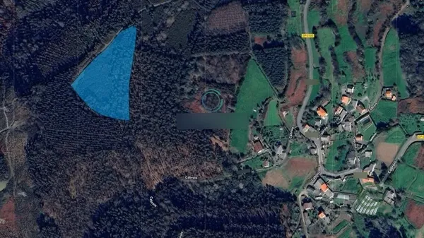 Spot image