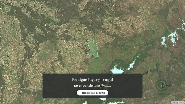 Spot image