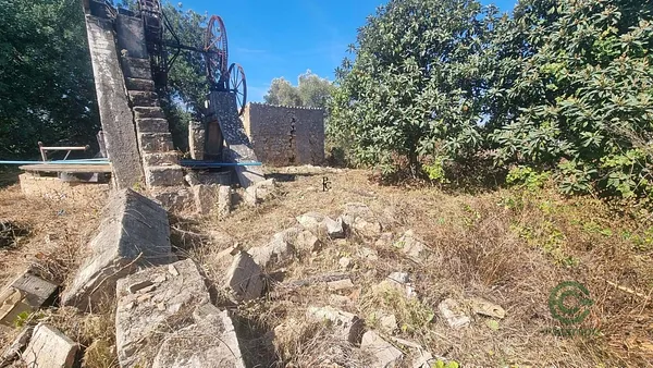 Spot image