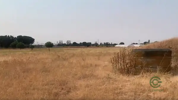 Spot image
