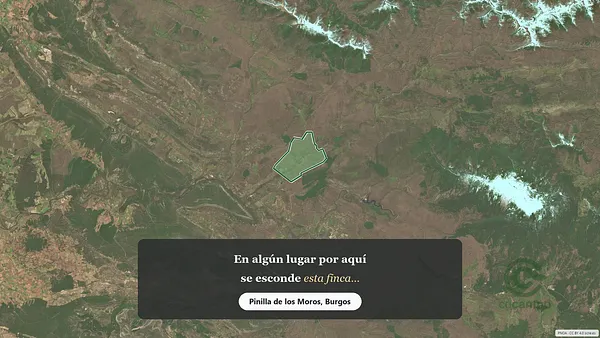 Spot image