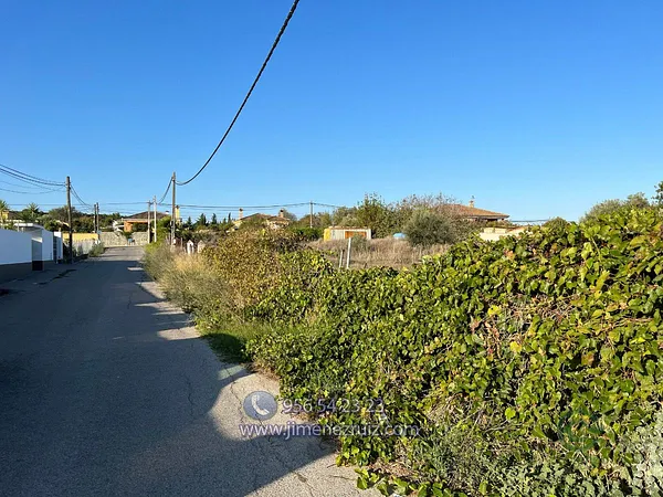 Spot image