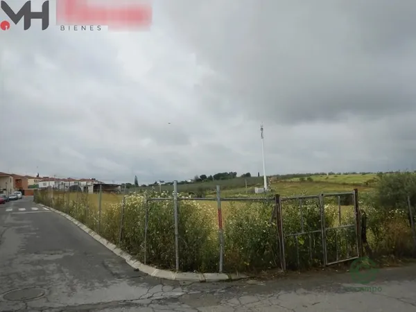 Spot image